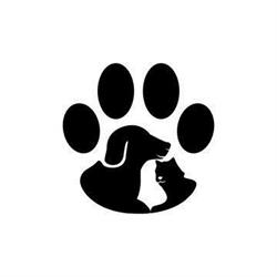 WAGS