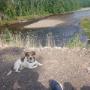 Dog friendly RV park Eastville Dog friendly RV park Eastville