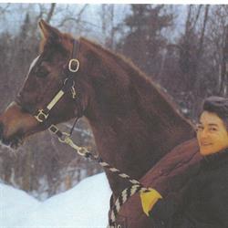 Best Bet Feed and Tack Store