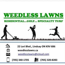 Weedless Lawns