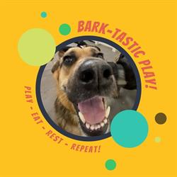 Bark Park Red Deer Riverside