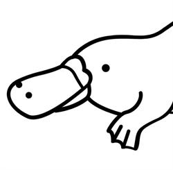 The Peculiar Platypus