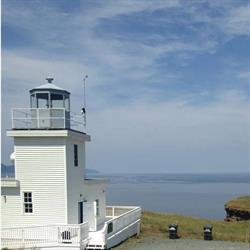 Bell Island Cottages