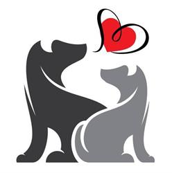 Sylvie Éducatrice Comportementaliste Canin