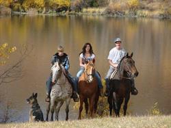 Stillwater Farm