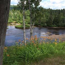La rivière enchantée