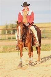 Rockspring Farm