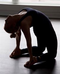 Yoga Shala NB