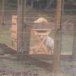 Ohana Farms
