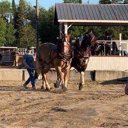 Coe Hill Agricultural Society