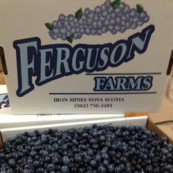 Ferguson Farms