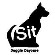 Sit Doggie Daycare