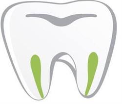 Ottawa East Endodontics