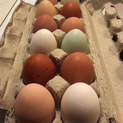 Gladwin Trails Farm & Fabrication