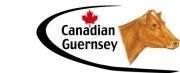 Canadian Guernsey Association