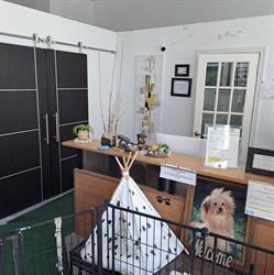 Woof Woof Dog Grooming Services