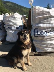Monticola Firewood
