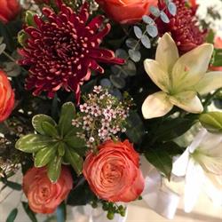 Petals & Clover Flowers, Gifts and More
