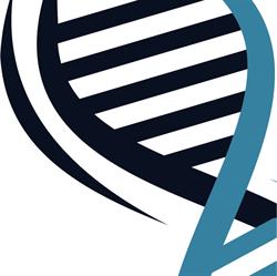 NetDNA Services Inc
