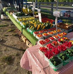 Van Elswyk Farms Limited
