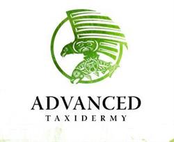 Advanced Taxidermy & Wildlife Design