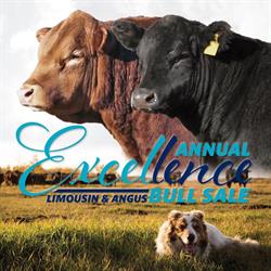 Excel Ranches