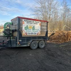 Cedar Springs Landscaping
