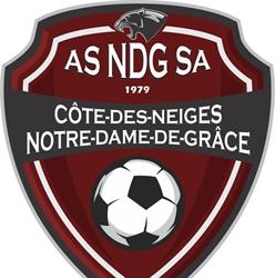 NDGSA