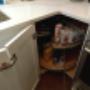Free floating lazy Susan, no middle bar and adjustable in height. Free floating lazy Susan, no middle bar and adjustable in height.