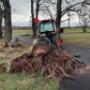 Professional large tree removal experts. Safe, efficient service for your property needs. Contact us for a quote today! Professional large tree removal experts. Safe, efficient service for your property needs. Contact us for a quote today!