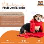 Meilleure boutique en ligne pour votre chien Meilleure boutique en ligne pour votre chien