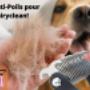 Brosse Anti Poils Pour Chiens Hairyclean Brosse Anti Poils Pour Chiens Hairyclean