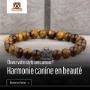 Bracelet Patte De Chien Pierres Naturelles Bracelet Patte De Chien Pierres Naturelles