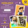 Tout pour les amoureux des canins Tout pour les amoureux des canins