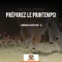 Préparez votre ami à quatre pattes pour le printemps Préparez votre ami à quatre pattes pour le printemps