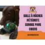 Balle à mâcher météorite sonore pour chiens Balle à mâcher météorite sonore pour chiens