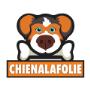 Chienalafolie Chienalafolie