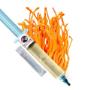 Culture Liquide de Champignons Cordyceps Culture Liquide de Champignons Cordyceps
