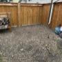 Stump grinding for fence rebuild Stump grinding for fence rebuild