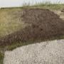 Stump grinding and surface roots removed Stump grinding and surface roots removed