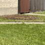 Stump grinding Stump grinding
