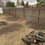 Multiple stumps removed Multiple stumps removed
