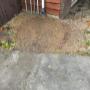 Stump grinding Stump grinding