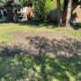 Stump grinding and surface roots removed Stump grinding and surface roots removed