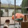 Pet sitting services offered in Vancouver and surrounding areas in British Columbia. Pet sitting services offered in Vancouver and surrounding areas in British Columbia.