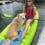 a kayaker and a dog going out on the lake a kayaker and a dog going out on the lake