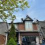 Asphalt Shingles Asphalt Shingles
