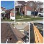 Asphalt Shingles on Hickory Asphalt Shingles on Hickory