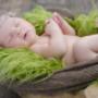 Bébé croissant et compagnie
Cynthia Croteau
Accompagnante à la naissance et au postnatal
Doula Sherbrooke
Pour un accompagnement chaleureux et personnalisé Bébé croissant et compagnie
Cynthia Croteau
Accompagnante à la naissance et au postnatal
Doula Sherbrooke
Pour un accompagnement chaleureux et personnalisé