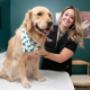 Imagine a vet where same-day appointments, upfront pricing, and 24/7 virtual care is the norm. That’s Juno—a Toronto veterinary clinic that cares just as much about vets like Dr. Jessica Kimball as we do about your pets, like Golden Retriever Winnie. Imagine a vet where same-day appointments, upfront pricing, and 24/7 virtual care is the norm. That’s Juno—a Toronto veterinary clinic that cares just as much about vets like Dr. Jessica Kimball as we do about your pets, like Golden Retriever Winnie.